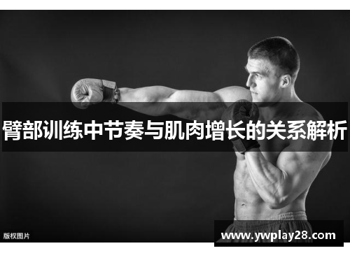臂部训练中节奏与肌肉增长的关系解析